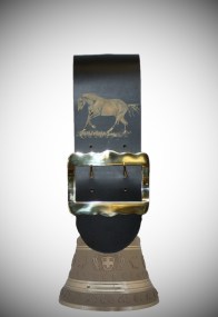 Glocke_Appenzell_4c98aeef53059.jpg
